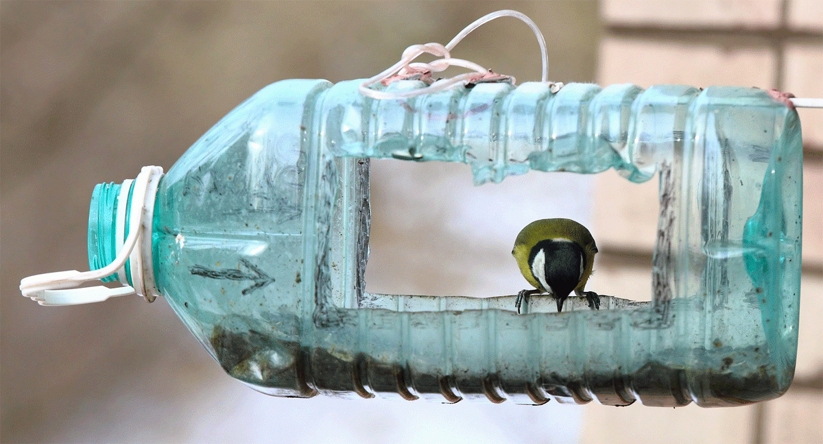 Кормушка для птиц своими руками: идеи из пластиковых бутлок с  фото