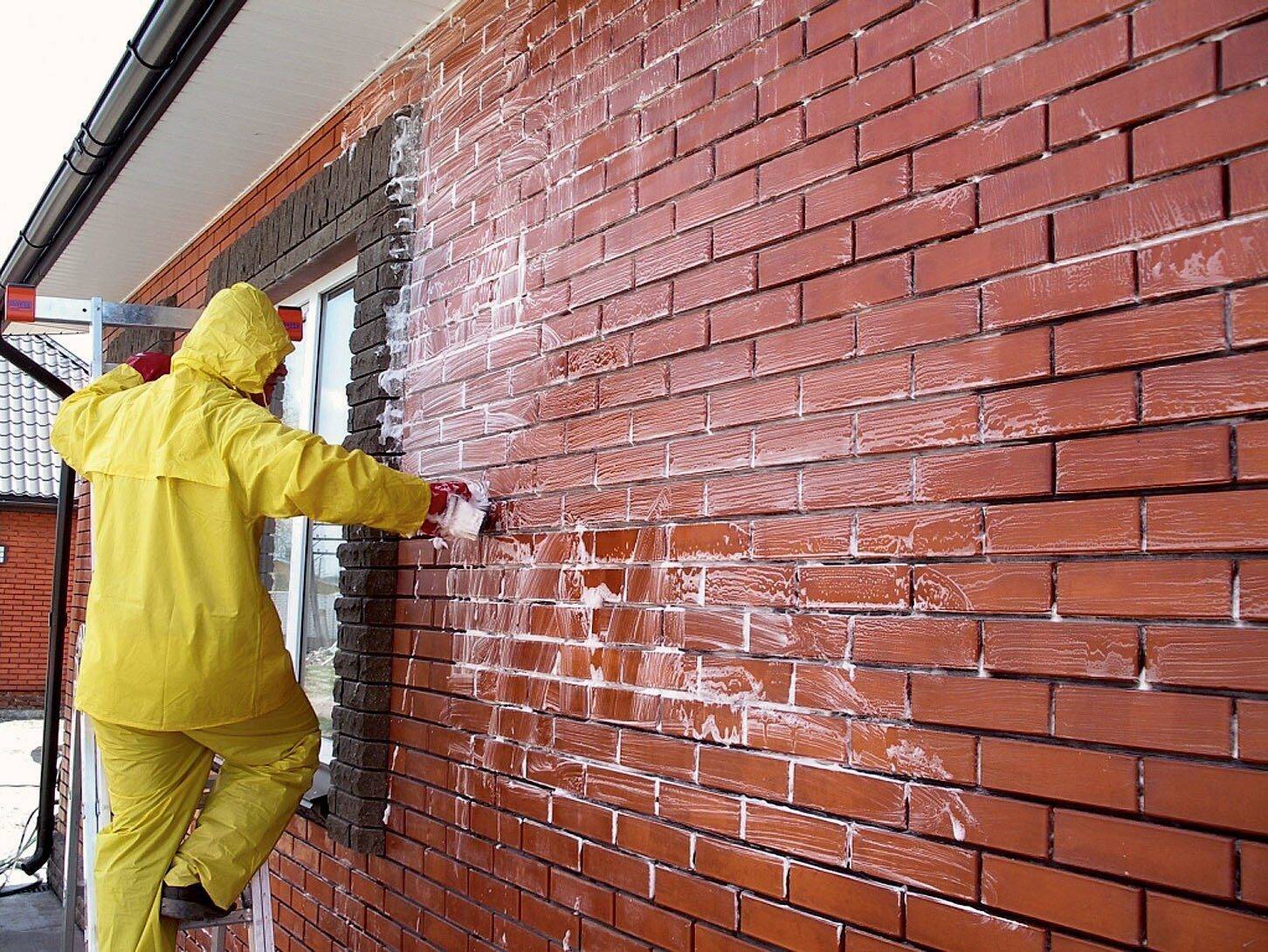 Как и чем обработать стену от плесени и грибка: советы :: syl.ru