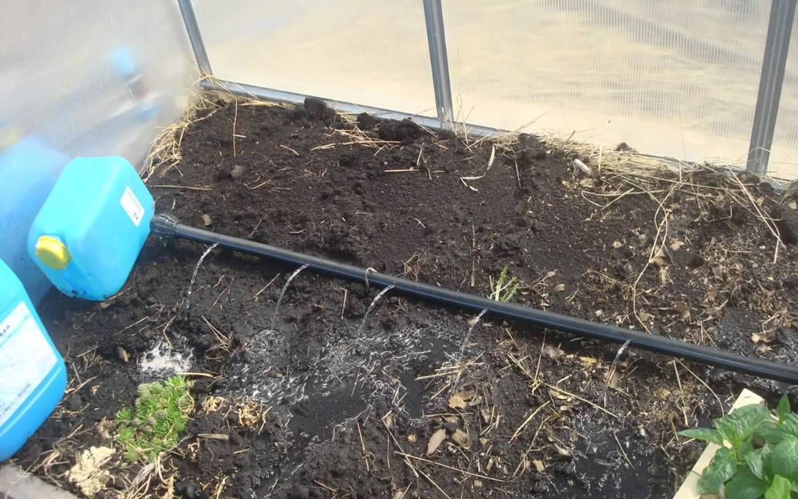 Как сделать капельный полив для огорода своими руками