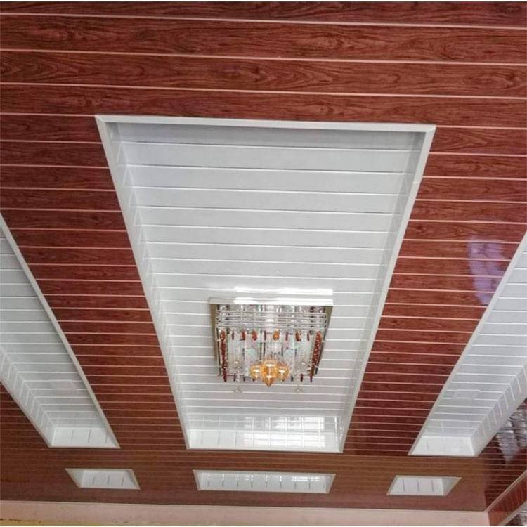Потолок из пластиковых панелей: 250+ (фото) красивых отделок