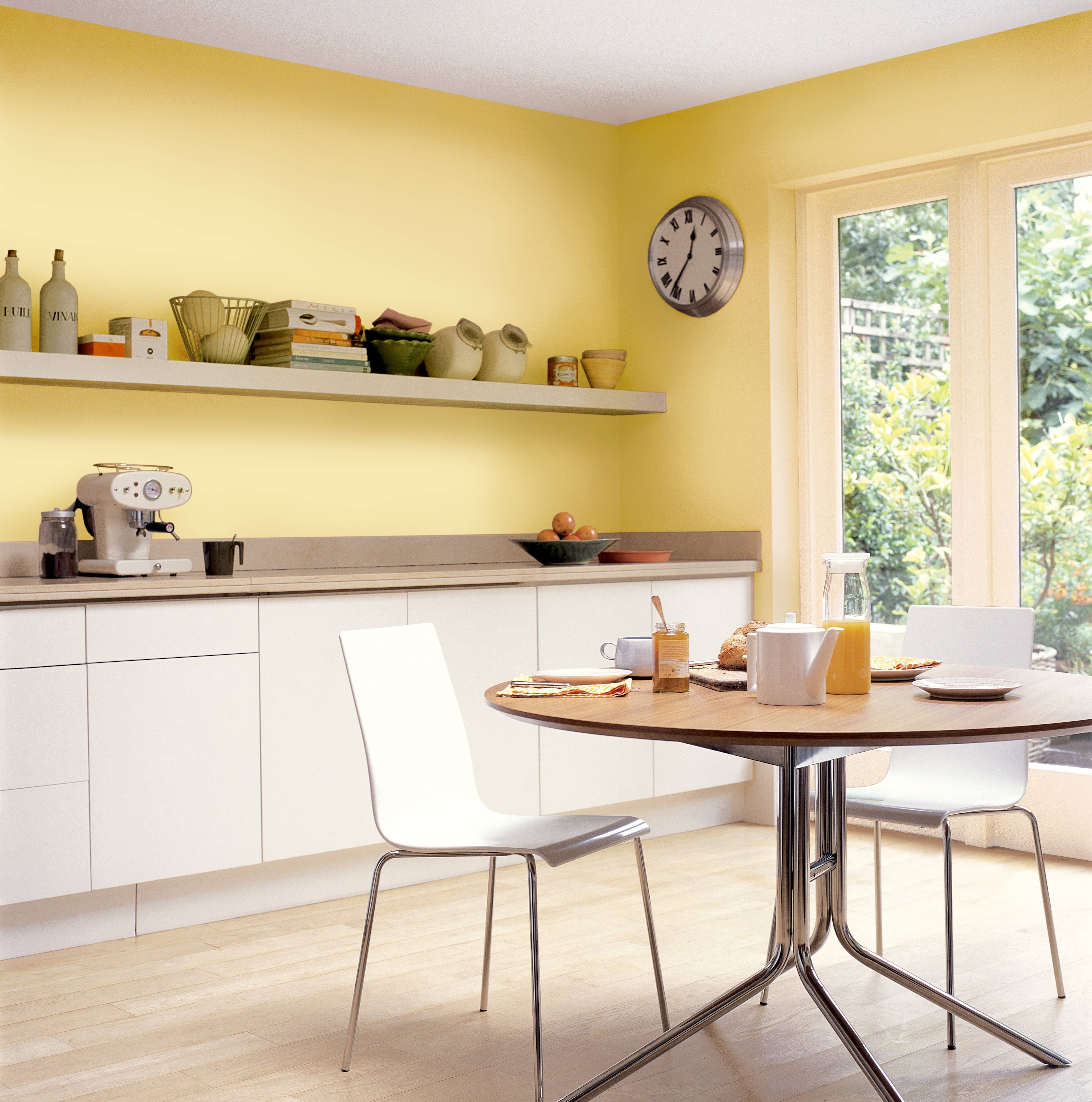 Покраска стен на кухне: какую краску и какого цвета лучше выбрать