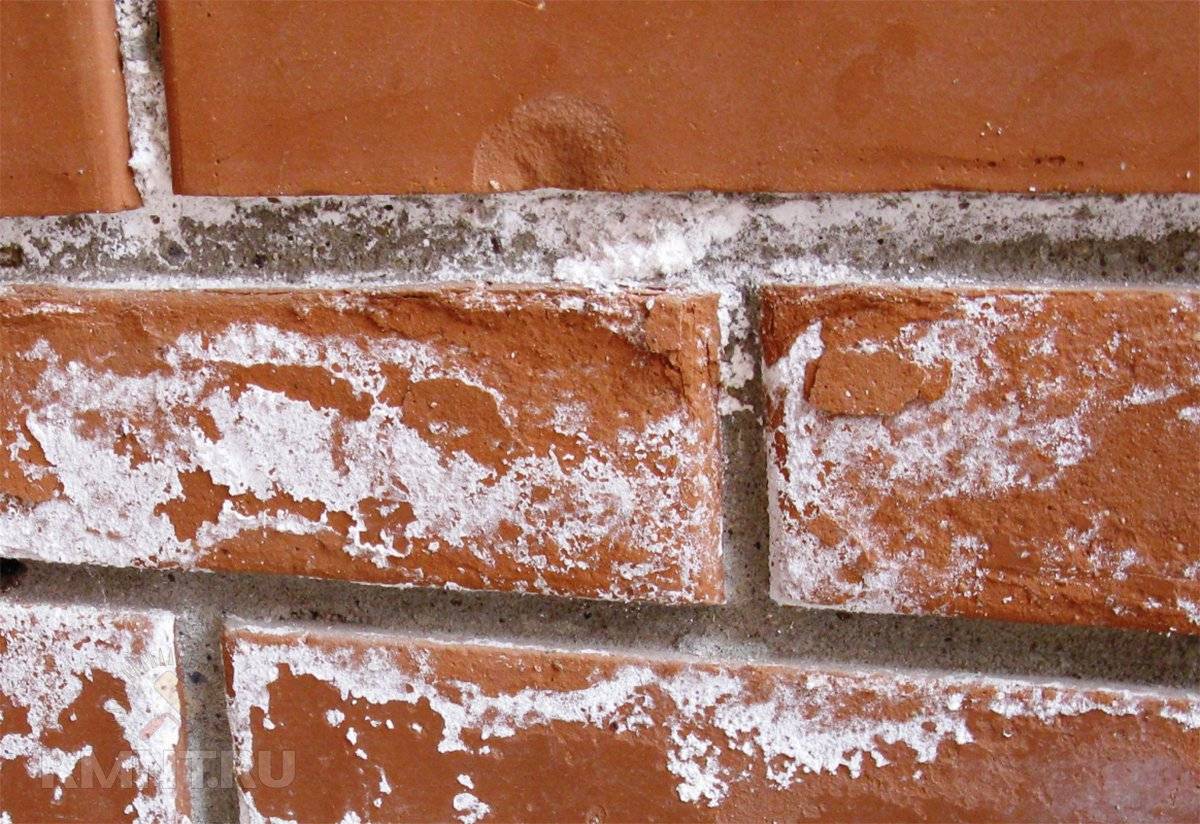 Гидроизоляция стен изнутри и снаружи