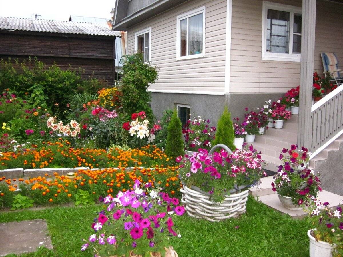 Палисадники около дома: как правильно оформить и какие растения посадить