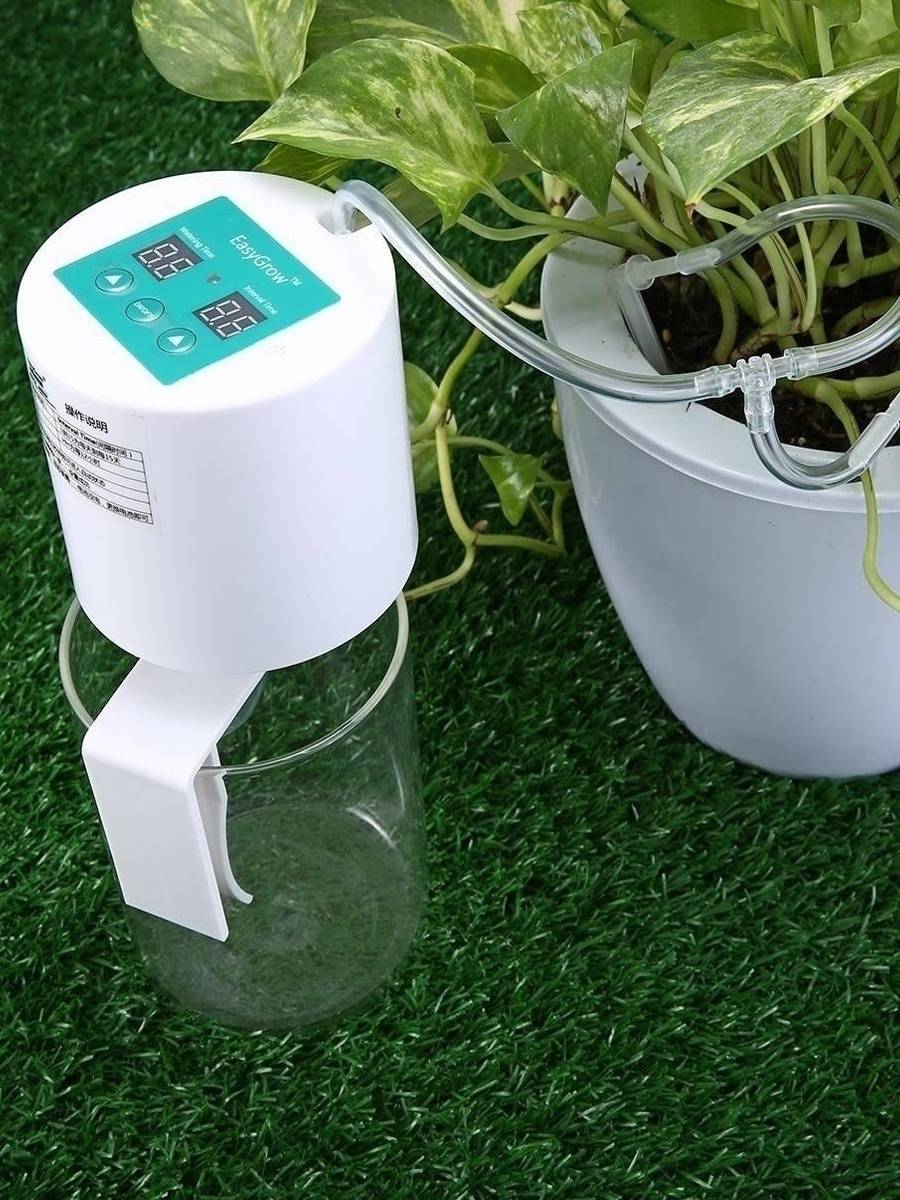 Автополив для комнатных растений своими руками: система автоматического полива цветов и растений из бутылки