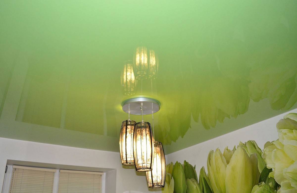 Натяжные потолки зеленого цвета: 45 фото примеров в зале, спальне, на кухне и кабинете