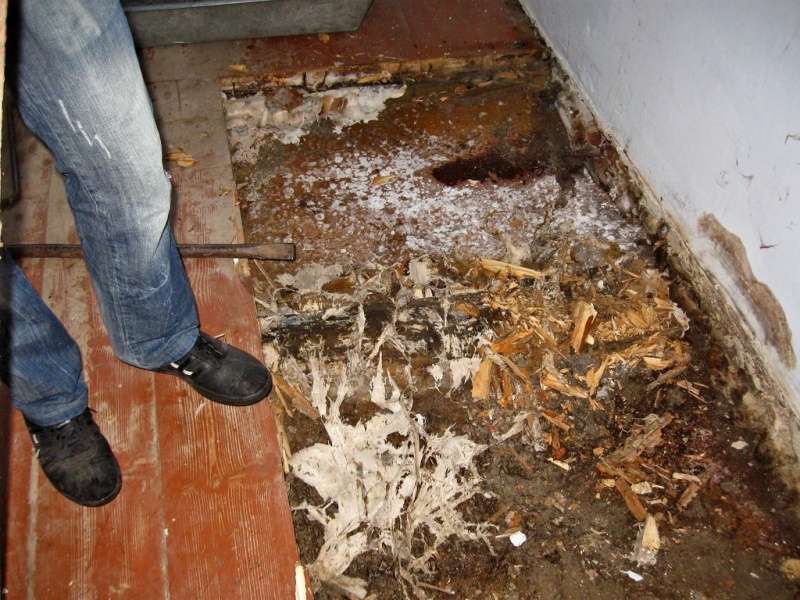 Как избавиться от грибка в погребе: 10 лучших средств, чем убрать сырость в подвале частного дома