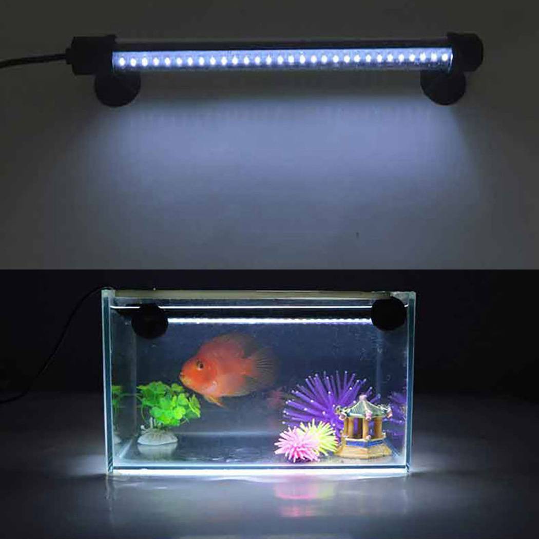 Как подобрать освещение для аквариума: виды ламп, светильники
