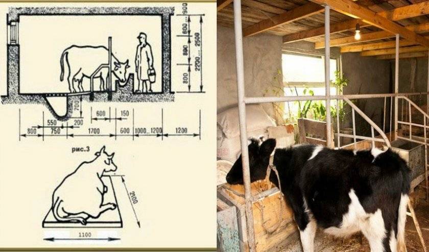 Хозблок. хозблок своими руками для содержания домашнего скота | builderclub