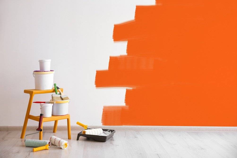 Покраска стен в квартире своими руками: выбор краски, технологии нанесения