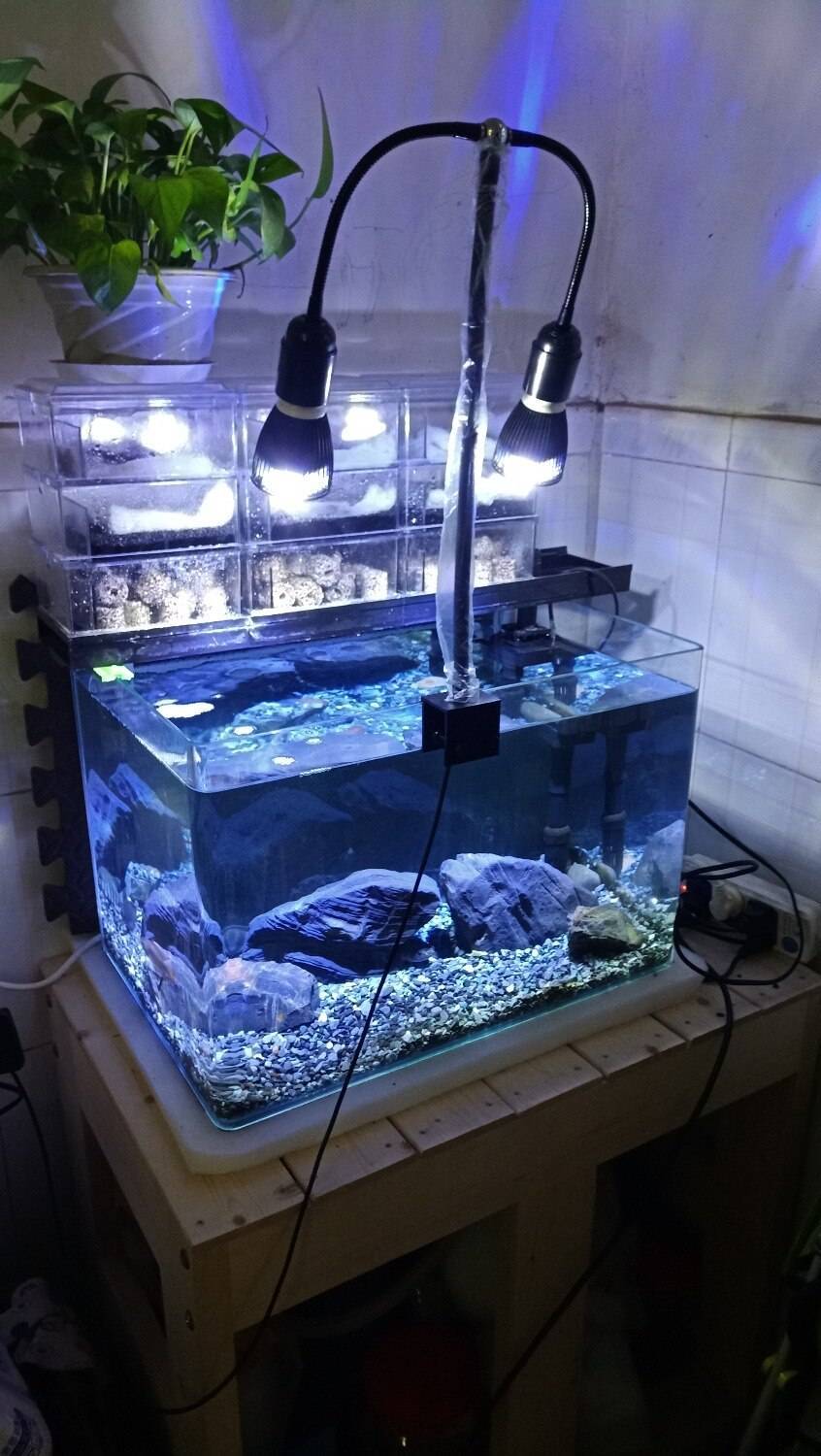 Изготавливаем светильник для аквариума своими руками