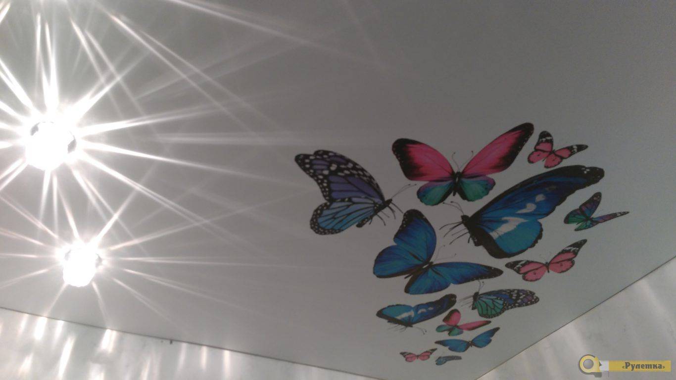 Натяжной потолок с бабочками - фото разных вариантов применения