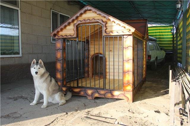 Уличная будка для собаки: домик и конура, летняя, зимняя, для выводка и другие | строй легко