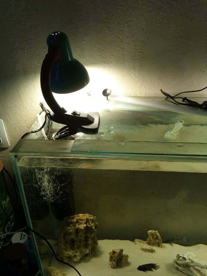 Крышка аквариума aquael – как заменить люминесцентную лампу светодиодной