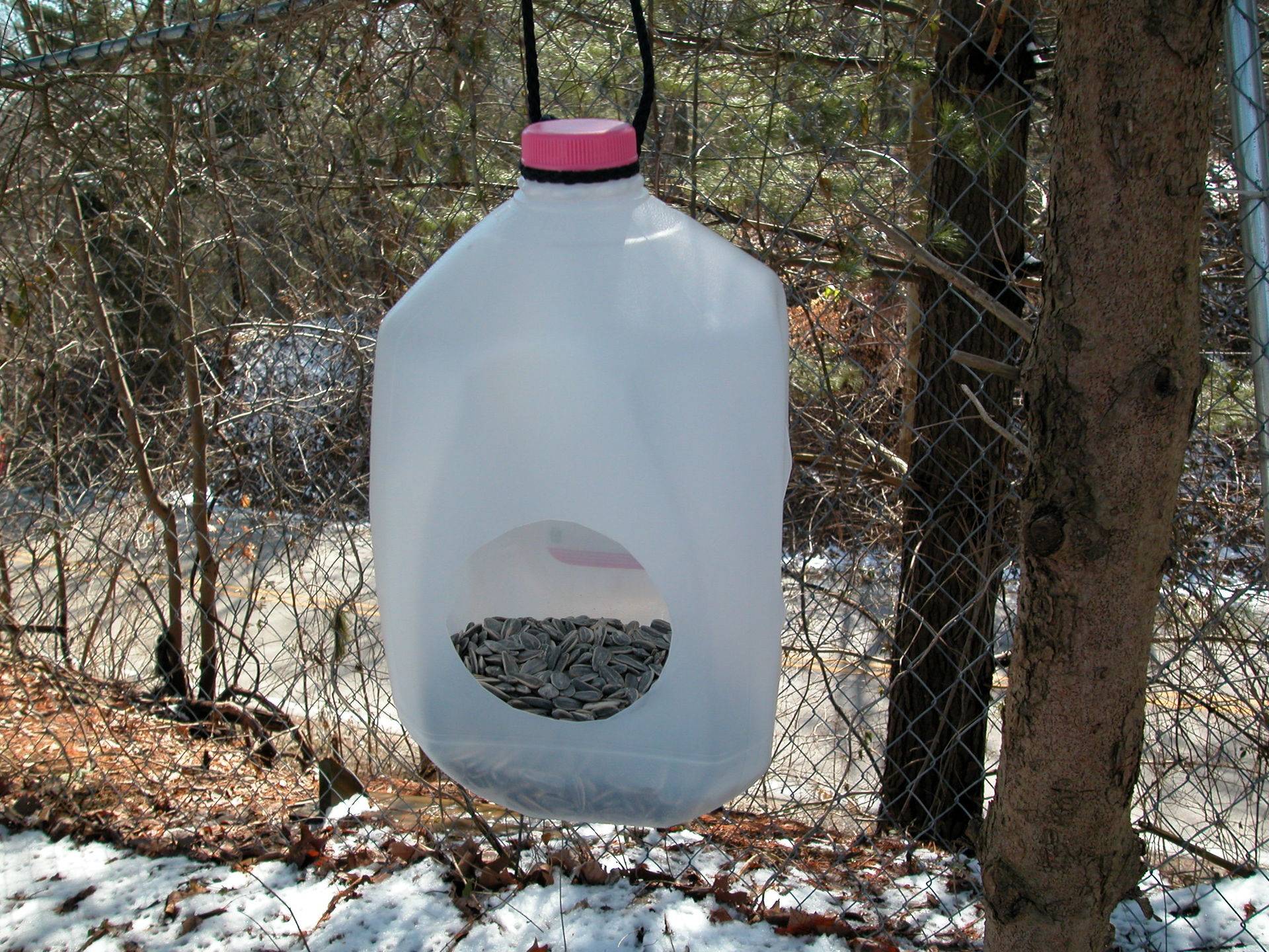 Как сделать кормушку для птиц из пластиковой бутылки — идеи