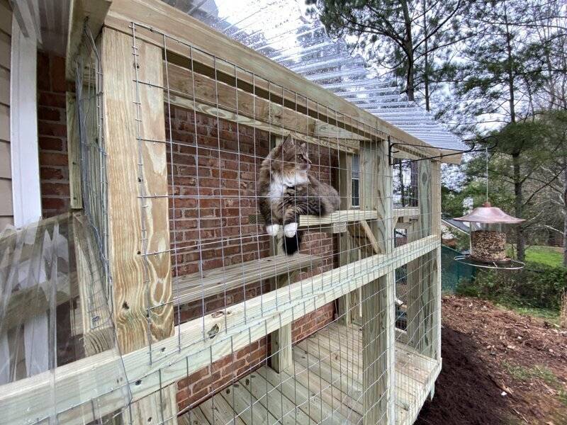 Вольер для кошек на даче своими руками