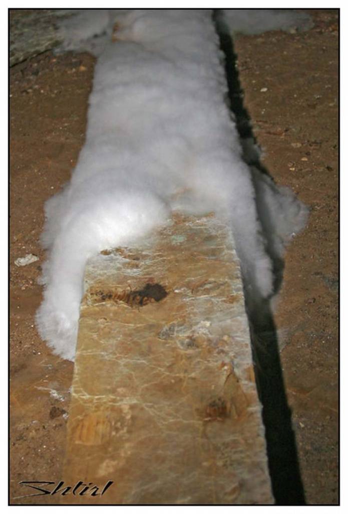 Белая плесень в погребе: как избавиться, фото / уничтожение грибка во влажном помещении, видео