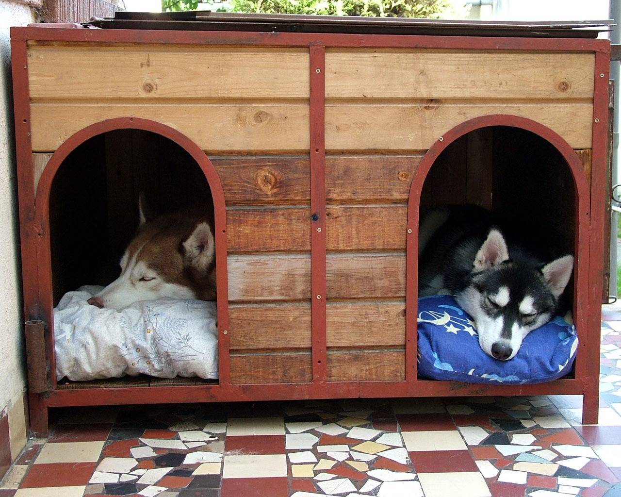 Как подобрать размер будки для собаки
