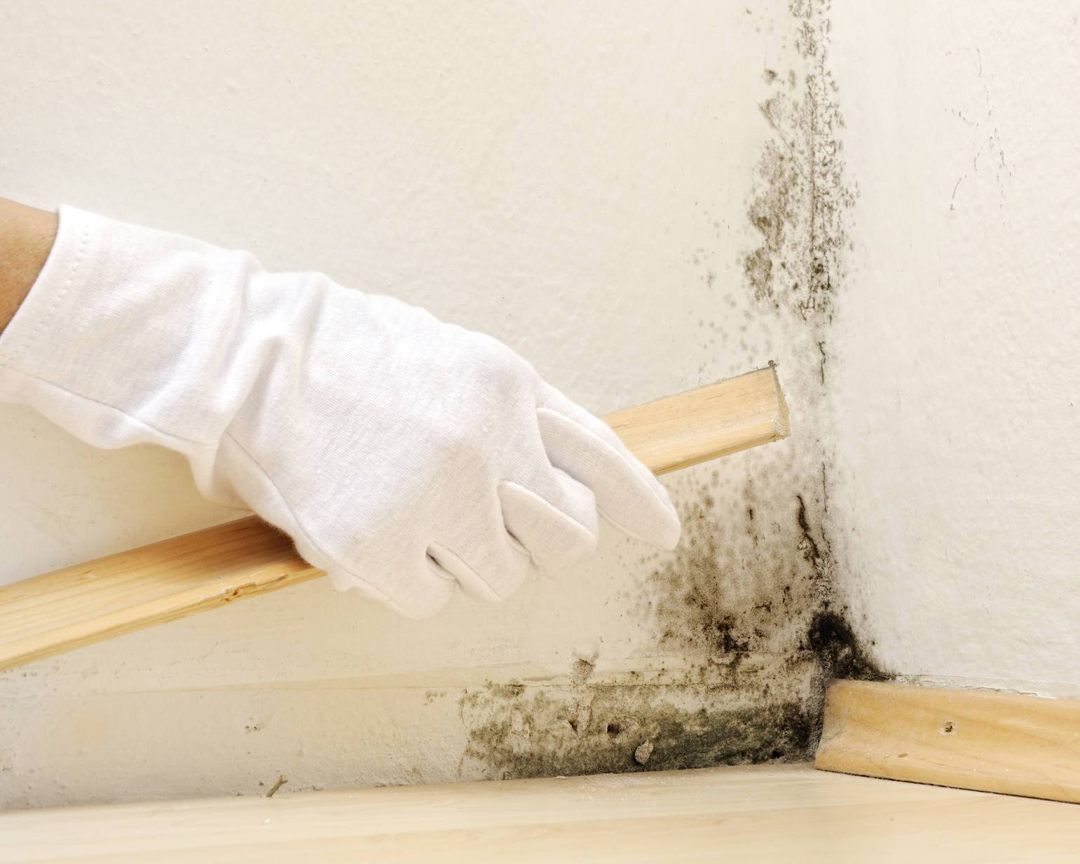 Как избавиться от плесени на потолке и убрать грибок в квартире и комнате, чем обработать