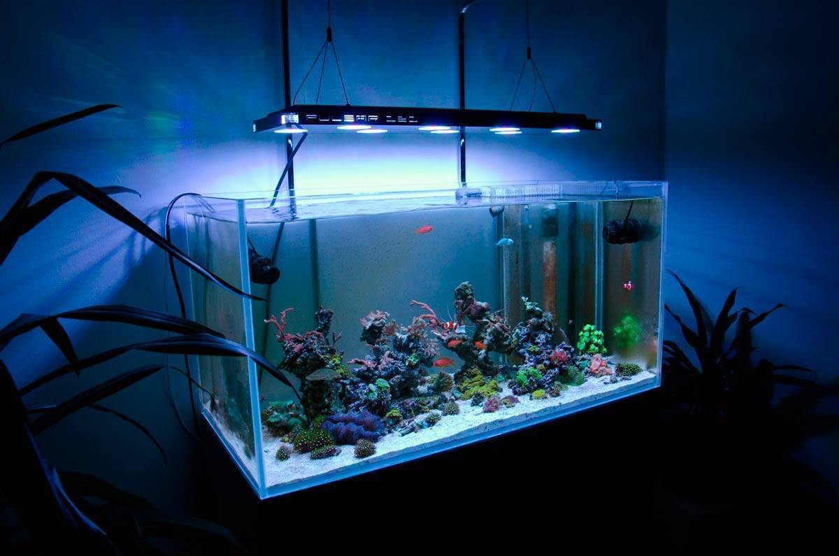 Как заменить люминесцентную лампу освещения аквариума в крышке aquael светодиодной