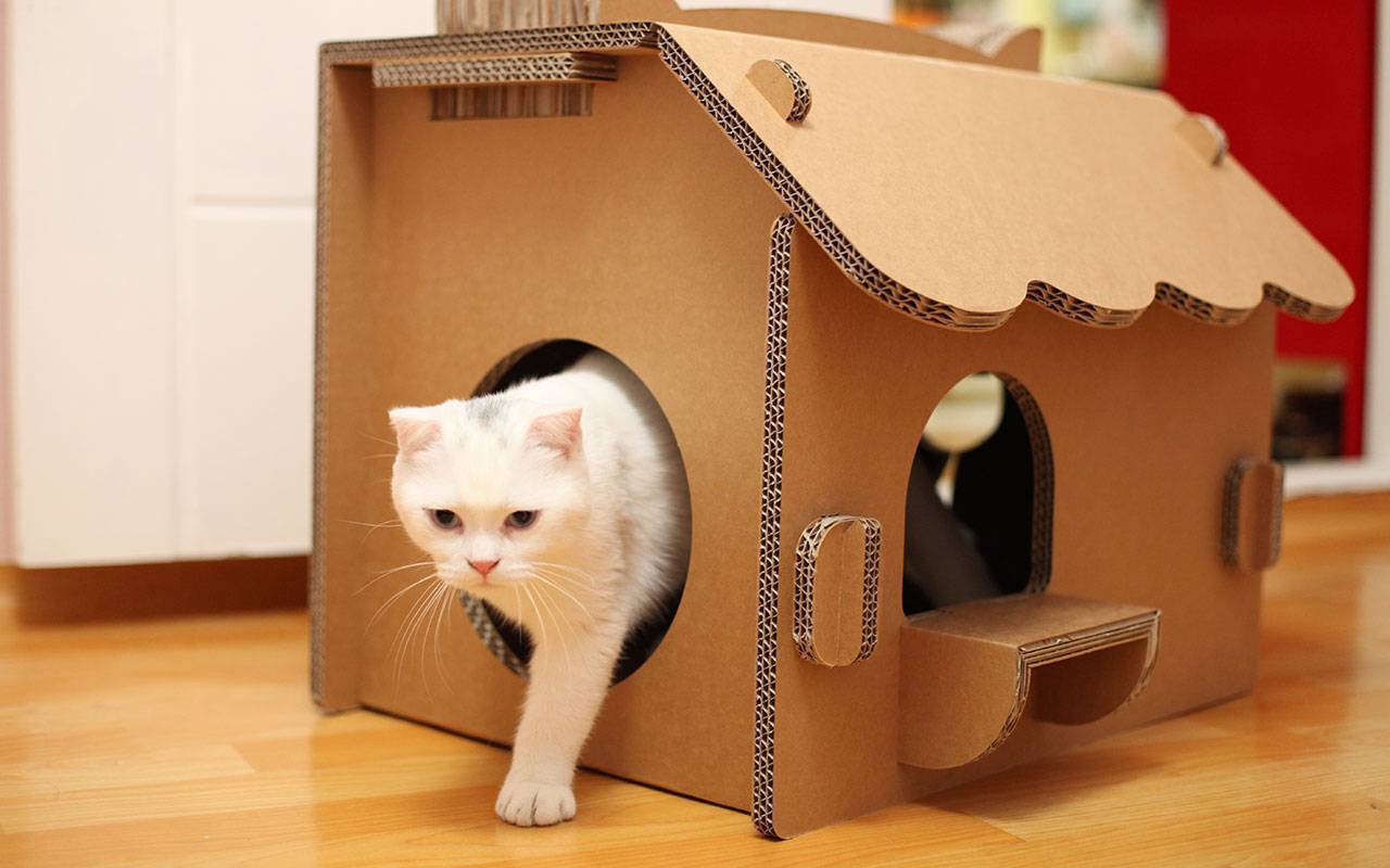 Как сделать домик для кошки без особых затрат - пошаговая инструкция