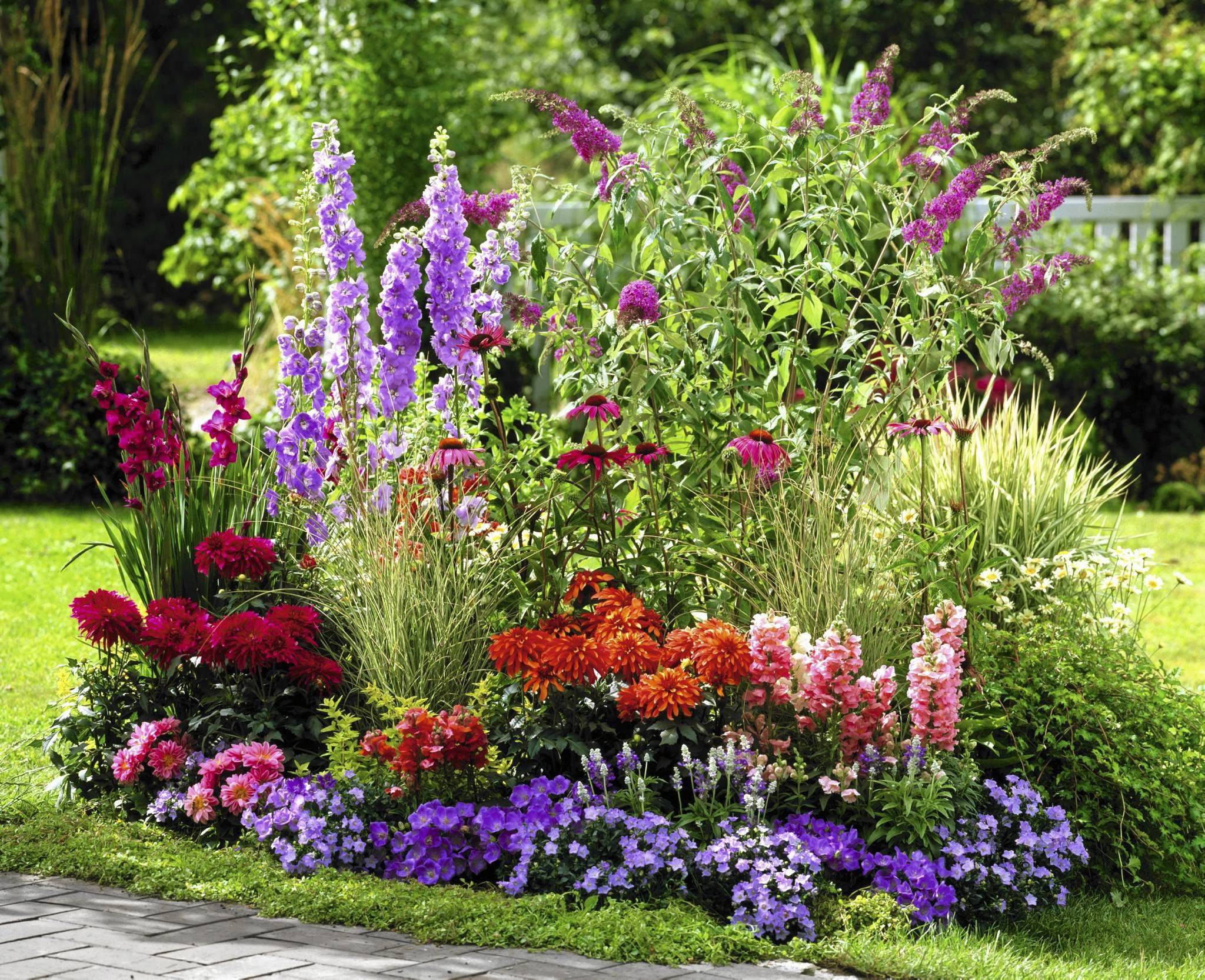 Неприхотливые и долгоцветущие цветы-многолетники для сада и дачи с фото