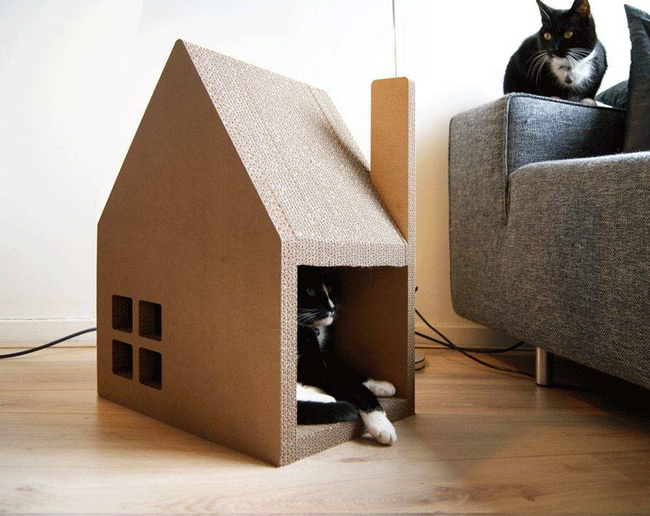 Уличный дом для кошек своими руками: чертежи, фото