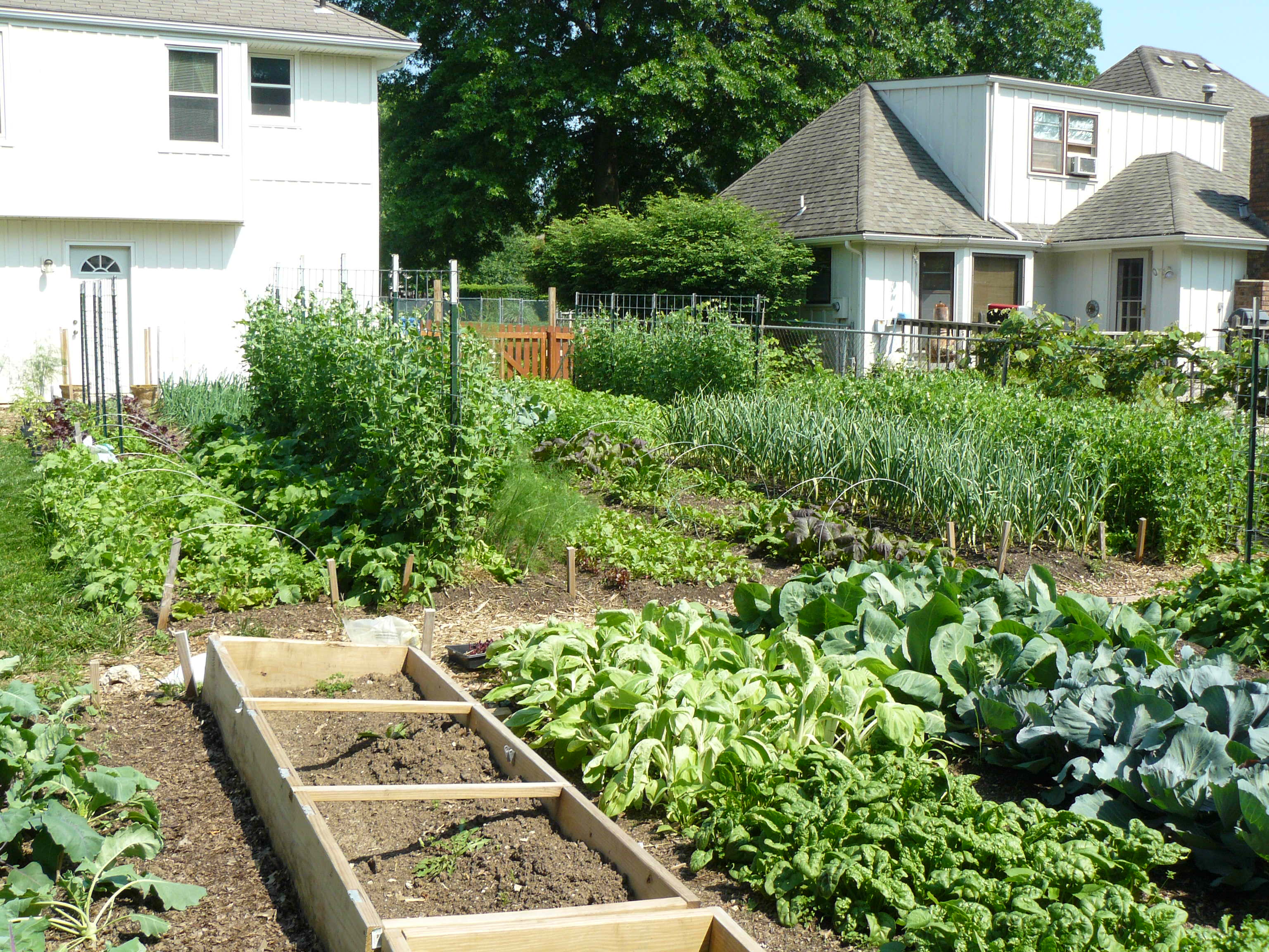 Огород для ленивых и умных: как сделать удобные и урожайные грядки | онлайн-журнал о ремонте и дизайне