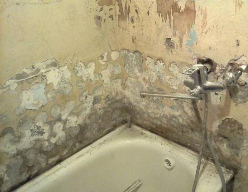 Как выравнять стены в ванной под плитку своими руками: чем лучше, какой штукатуркой