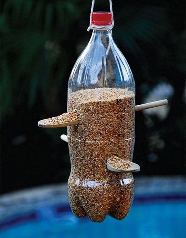 Кормушка для птиц своими руками: 12 оригинальных идей, как сделать из бутылки, коробки, дерева (фото)
